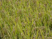 DSCN1605.jpg