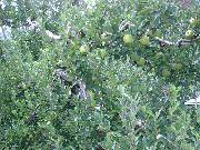 DSCN1611.jpg