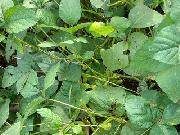 DSCN1616.jpg